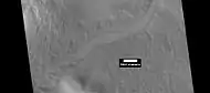 Channel with branches in Lyot Crater,  as seen by HiRISE under HiWish program