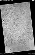 Wide view of field of rootless cones, as seen by HiRISE under HiWish program