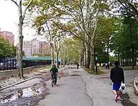 The walkway in the park, with decades old trees (all to be demolished) which runs along the FDR Drive