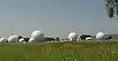 Field Station 81