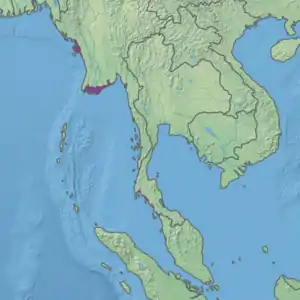 Ecoregion territory (in purple)