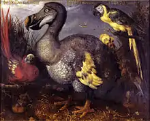 Painting of a dodo, with a red parrot on its left side, and a blue one at its right