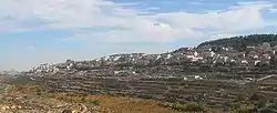 Efrat, 2012