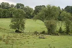 Countryside in the community