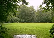 Lawn for sunbathing