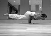 Eka Pada Koundinyasana II(upper leg on arm)