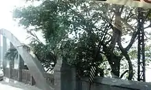Korappuzha Bridge