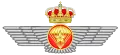 Parachute and Air Observer Wings