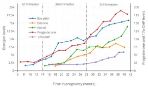 Estrogen, progesterone, and 17α-hydroxyprogesterone (17α-OHP) levels during pregnancy in women. The dashed vertical lines separate the trimesters.