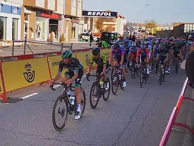 Peloton in Stage 9