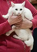 White called being held