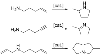 Examples of intramolecular hydroamination.