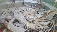 Reconstruction of steppe mammoth excavation site