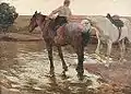 Horses (Fernando Fader)