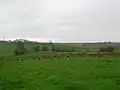 Fairlie woods and Gatehead from Springside