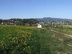 Falsztyn