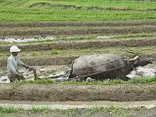 Image 4Agriculture preceded writing in the history of technology. (from History of technology)