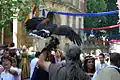 Falconry show