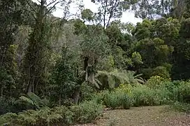 Field trip