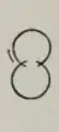 The figure-eight