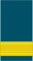 An RAF air commodore's sleeve mess insignia
