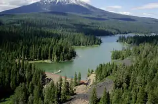 Forested land with a lake in the foreground and a snow-covered mountain in the background