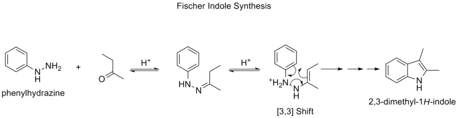 The Fischer indole synthesis