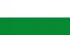 Flag of Agustín Codazzi