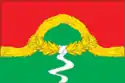 Flag of Apastovsky District