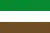 Flag of Arauquita