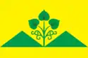 Flag of Tolon