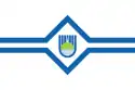 Flag of