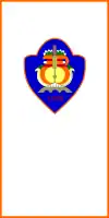 Flag of Municipality of Brvenica