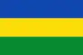 Flag of Caparrapí