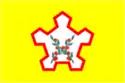 Flag of Chaplyginsky District