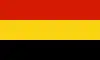 Flag of Coamo