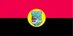Flag of Dibër Municipality