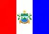 Flag of Dois Riachos