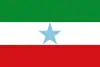 Flag of Fúquene