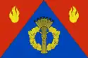 Flag of Frolovsky District