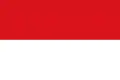 Flag of Funza
