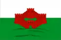 Flag of Gorodishche