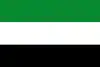 Flag of Hatonuevo