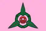 Hsinchu city flag