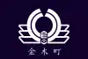 Flag of Kanagi