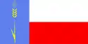 Flag of Klintsovsky District