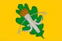 Flag of Kolyshleysky District