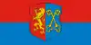 Flag of Lida