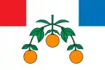 Lija