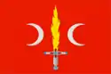Flag of Lunino